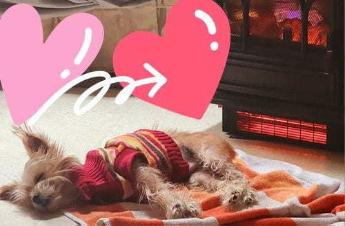 Cozy Fireside Canva Template – Winter & Holiday Digital Download - Ecc Digital DesignsCozy Fireside Canva Template – Winter & Holiday Digital DownloadEcc Digital DesignsCozy Fireside Canva Template – Winter & Holiday Digital DownloadDigital DownloadEcc Digital Designscanva templatecozy aestheticdigital download2
