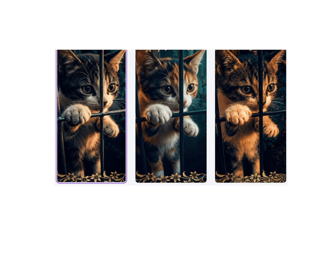 Curiosity Full Set - Ecc Digital Designs