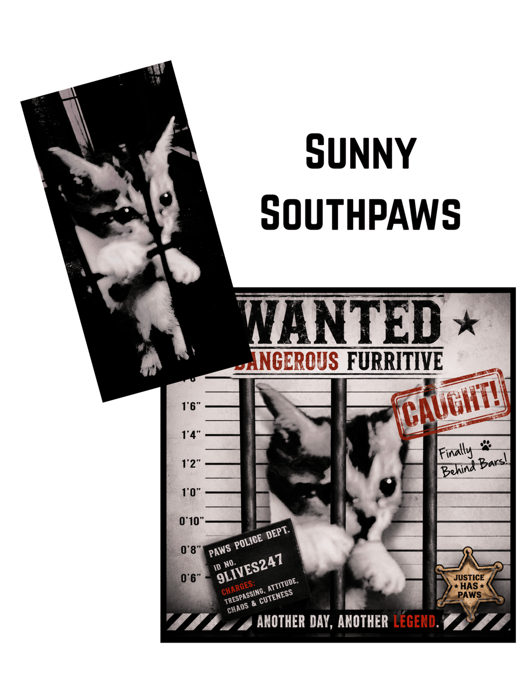 FELINE OUTLAWS - Ecc Digital Designs