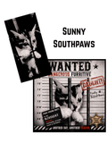FELINE OUTLAWS - Ecc Digital Designs