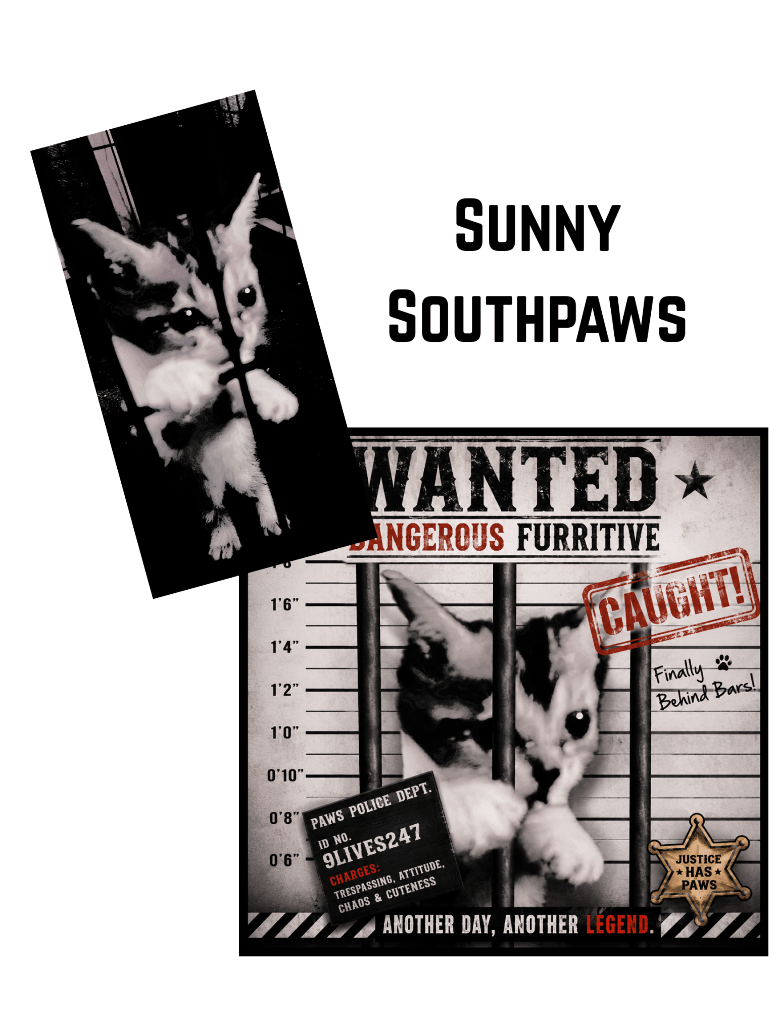 FELINE OUTLAWS - Ecc Digital Designs