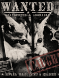 FELINE OUTLAWS - Ecc Digital Designs