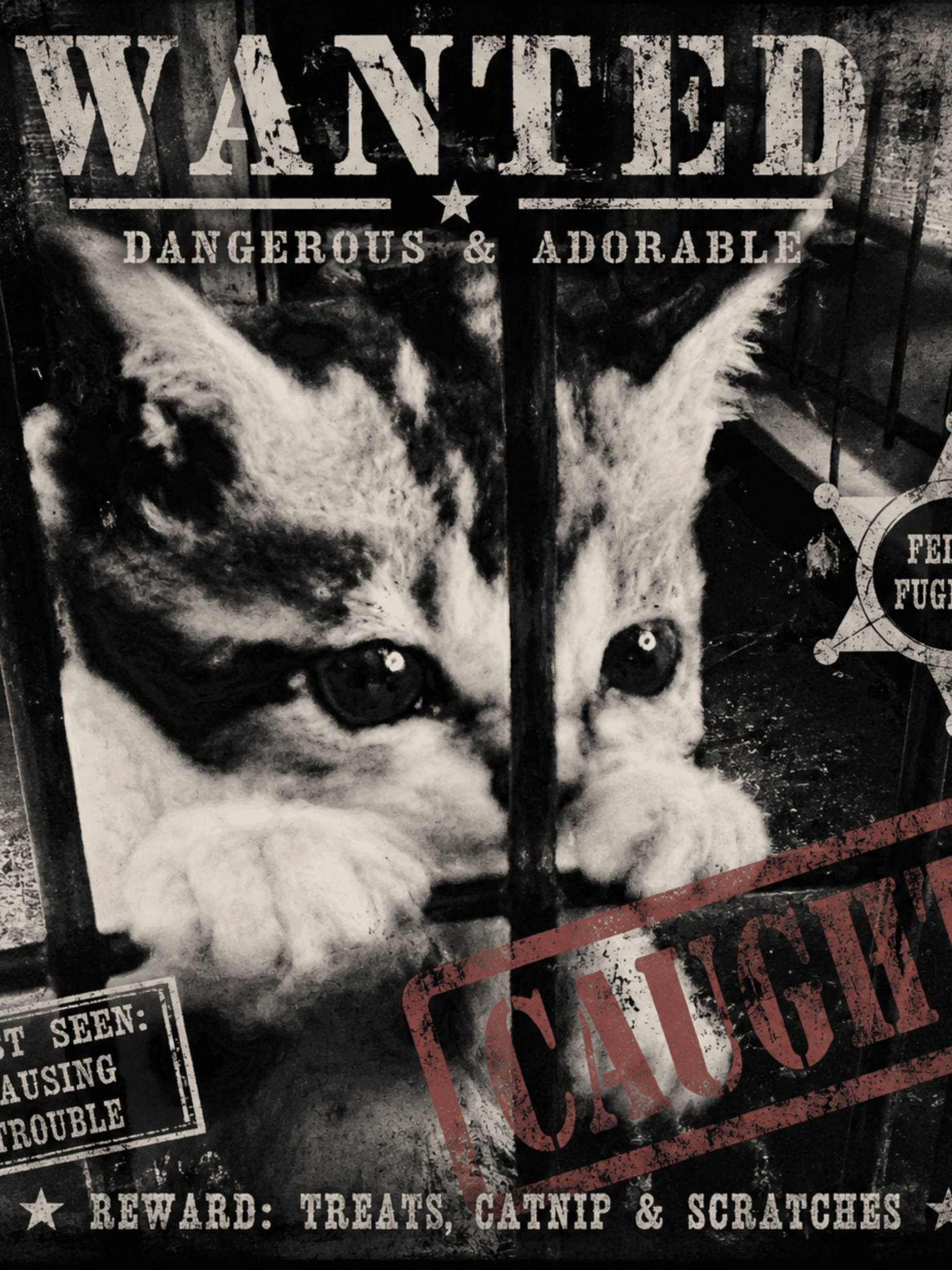 FELINE OUTLAWS - Ecc Digital Designs